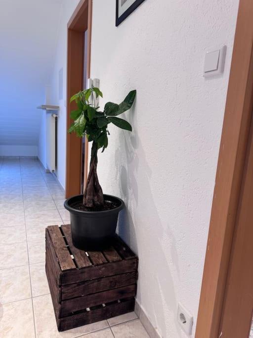 Casa Italia * Oberasbach